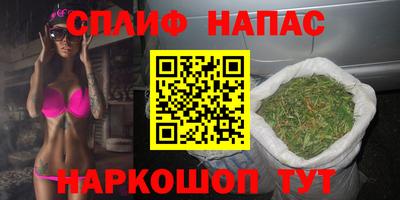 гашик Ярцево